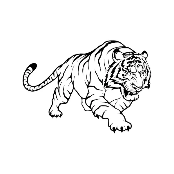 Modello logo tigre — Vettoriale Stock