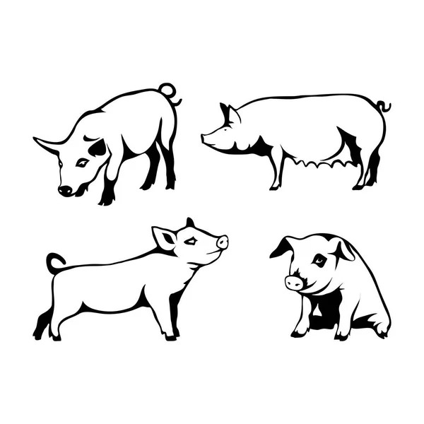 Conjunto de logótipos de suínos — Vetor de Stock