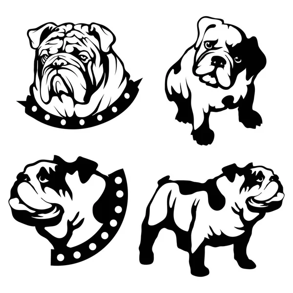 Reihe von Bulldoggen-Logos — Stockvektor