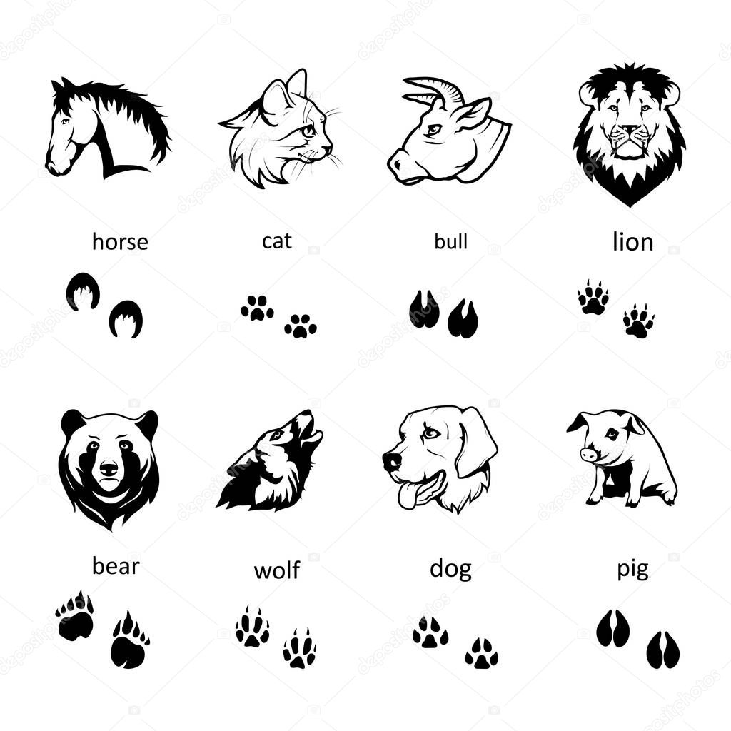 animal logos with corresponding tracks