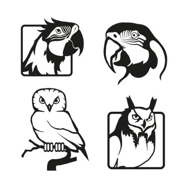 kuşlar logo tasarımı