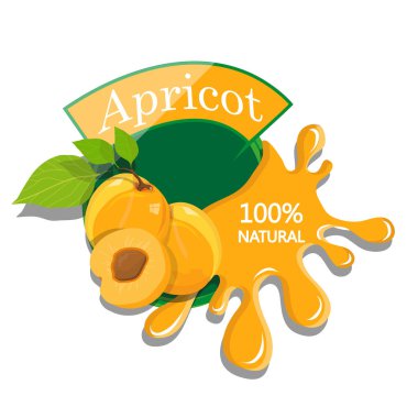 Kayısı logo tasarımı