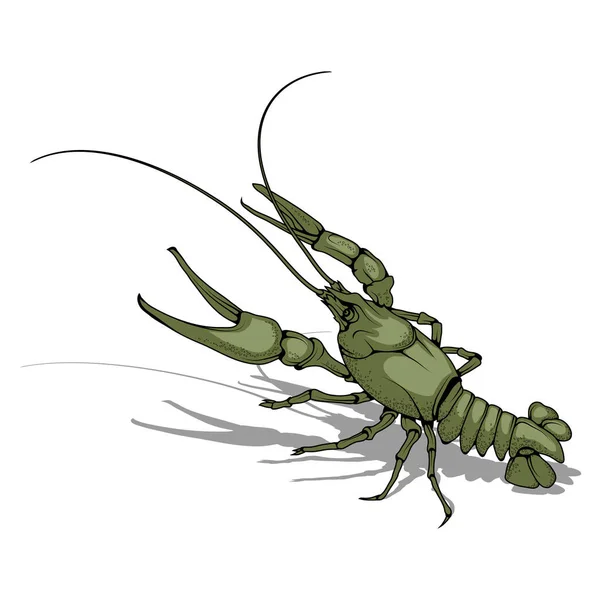 Design of crayfish icon — Stock Vector