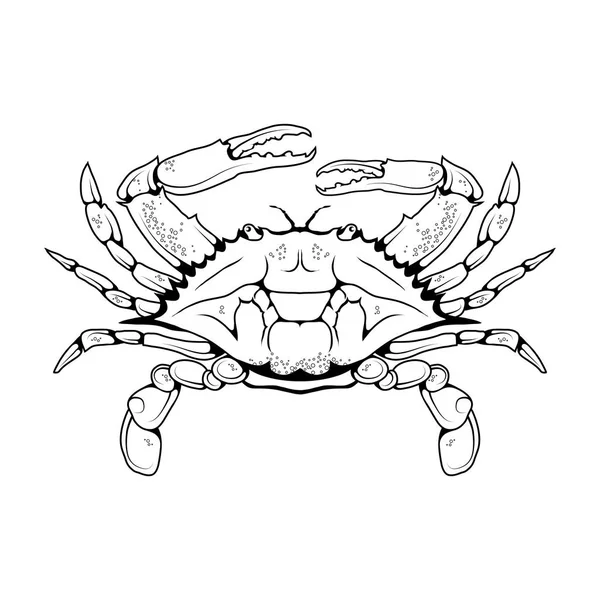 Ontwerp van krab pictogram — Stockvector