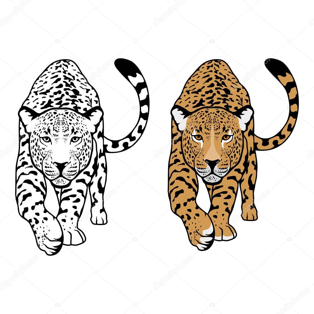 Big Leopard icon, vector illustration