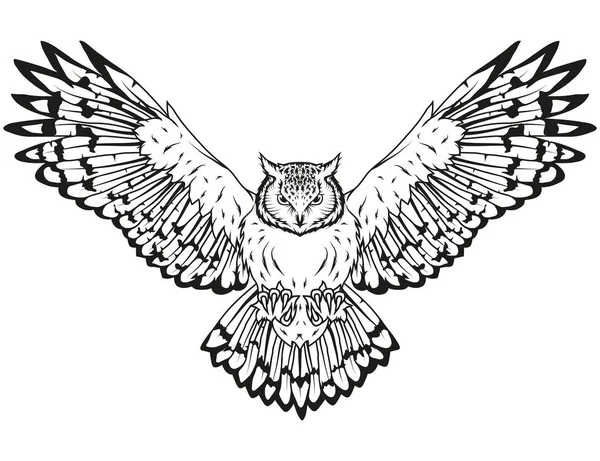 Ručně tažené sova logo — Stockový vektor