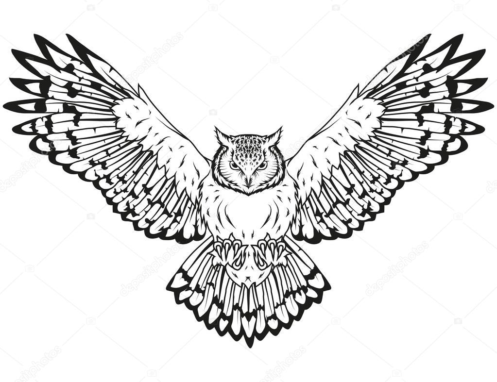 Hand drawn owl logo