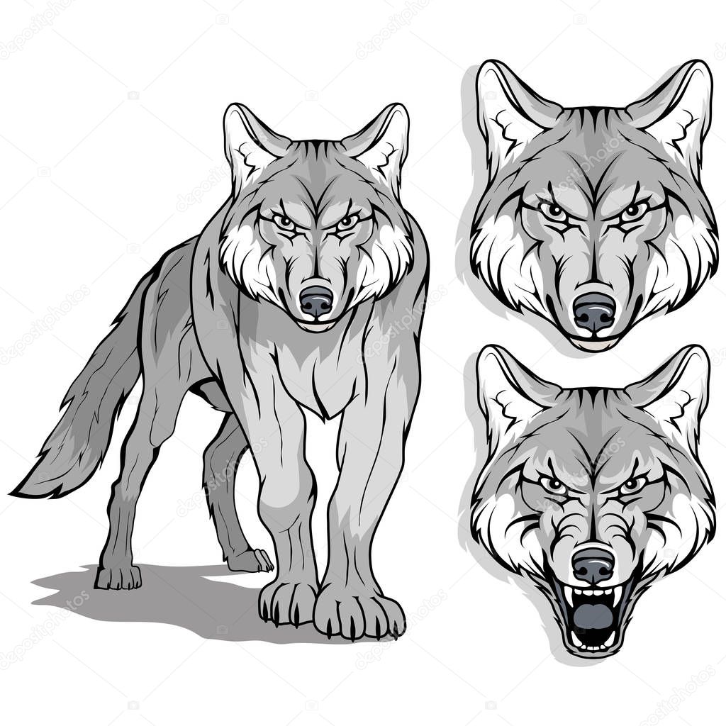 Black and white hand drawn wolfs
