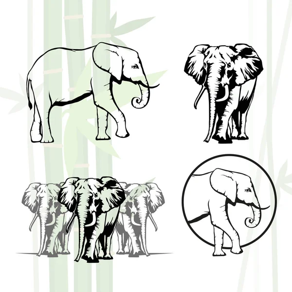 Conjunto de logótipos de elefante —  Vetores de Stock