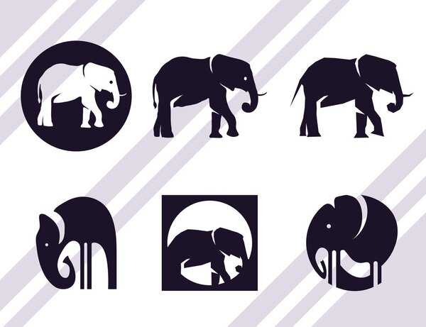 Elephant logo set