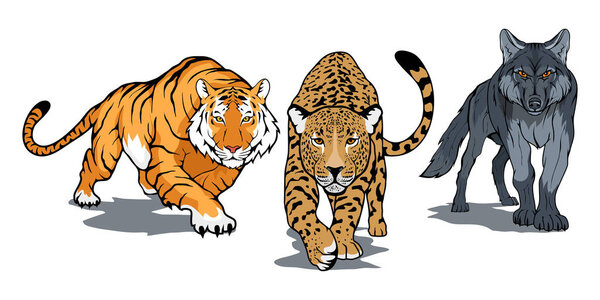 Bengal tiger, leopard, wolf