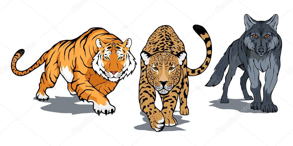 Bengal tiger, leopard, wolf