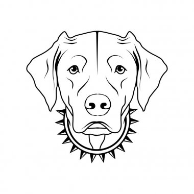 Labrador köpek logosu
