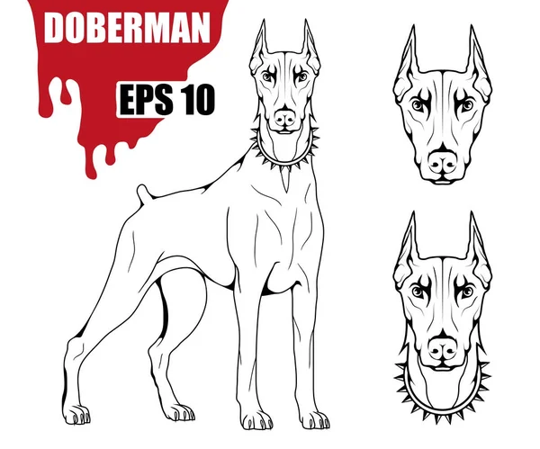 Logo chien Doberman — Image vectorielle