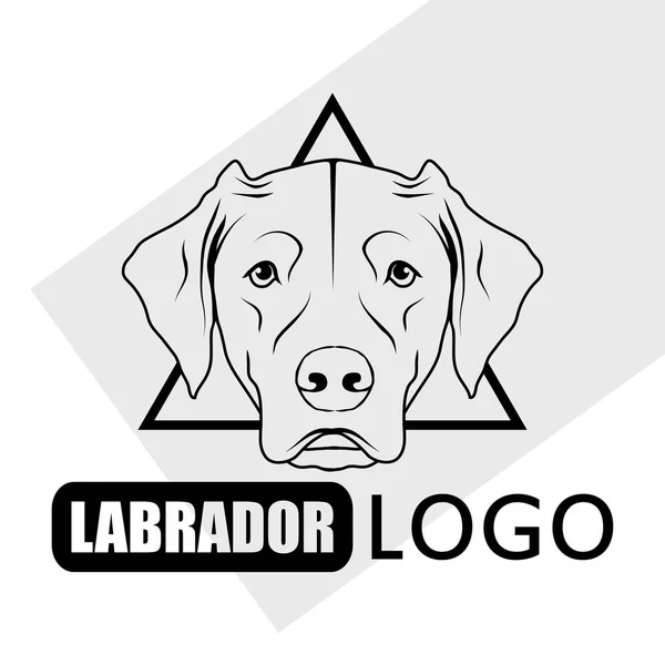 Labrador köpek logosu — Stok Vektör