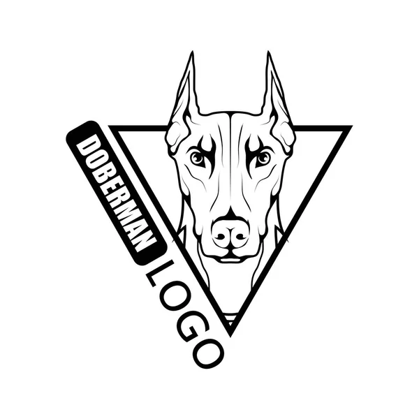 Doberman köpek logosu — Stok Vektör