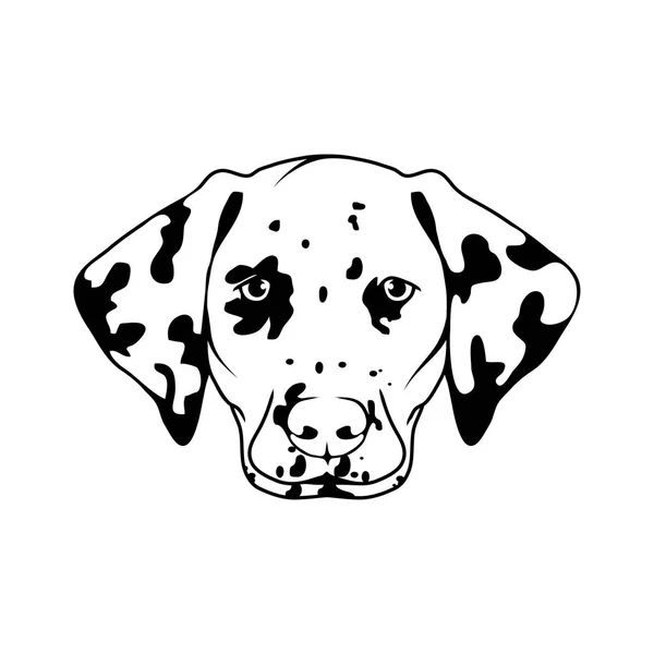 Dalmatian dog logo — Stock Vector