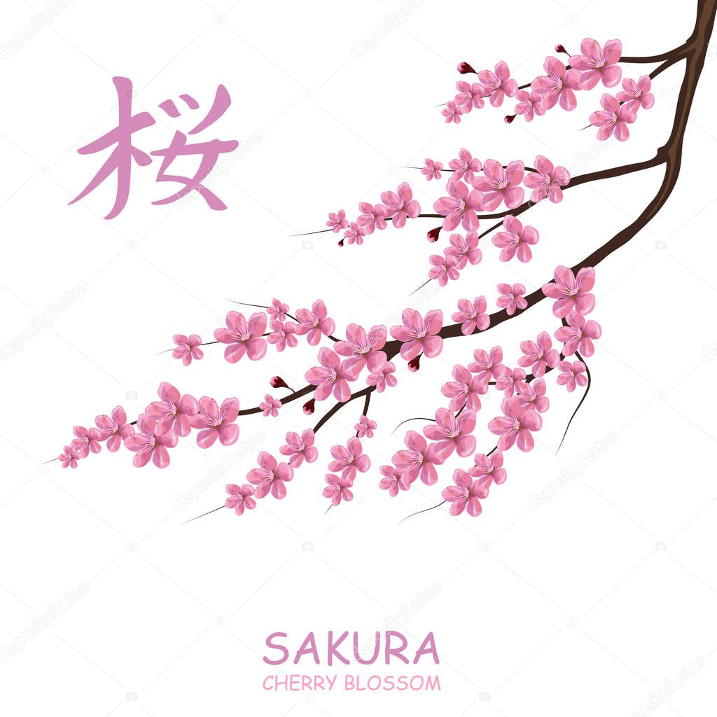 Flat linear sakura branches with lettering sakura cherry blossom isolated on white background