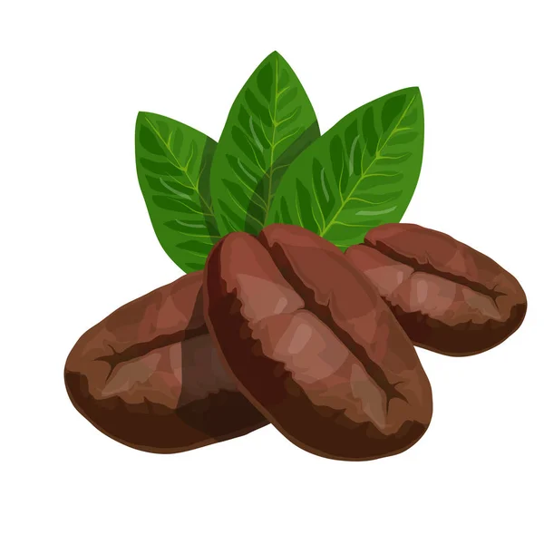 Barevná Ikona Kakaových Bobů Zelenými Listy Izolované Bílém Pozadí Ploché — Stockový vektor