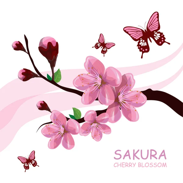 Plana Linear Sakura Ramos Borboletas Com Letras Sakura Cereja Flor —  Vetores de Stock