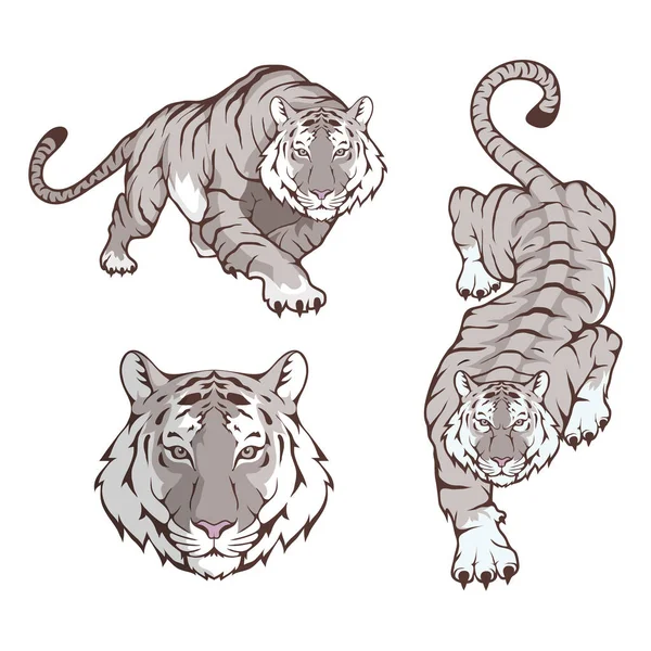 Εικονογράφηση Φορέα Σύμβολο Του Τίγρη — Διανυσματικό Αρχείο