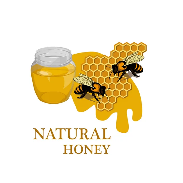 Natural Honey Vector Illustration — Stock Vector