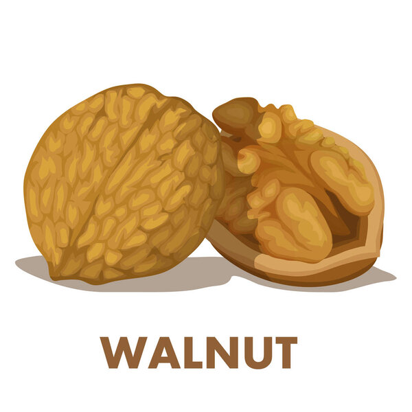 В том числе в том числе и в том числе.