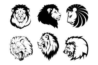 Çeviri: nazo82 Shagrathian