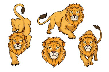Aslan logo kümesi. Vektör hayvan aslan. Beyaz arka plan üzerinde Kral aslan izole.