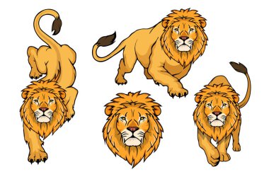Set of Lion logo.Vector animal lion.King Lion isolated on white background. clipart