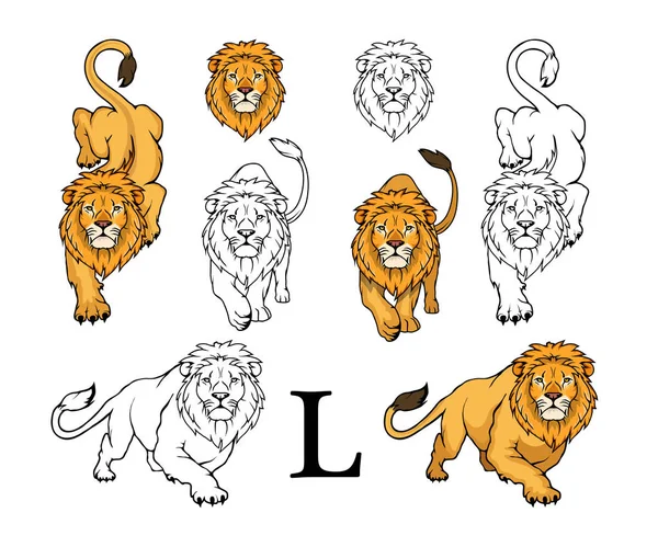 Ensemble Lion Logo Vector Animal Lion King Lion Isolé Sur — Image vectorielle