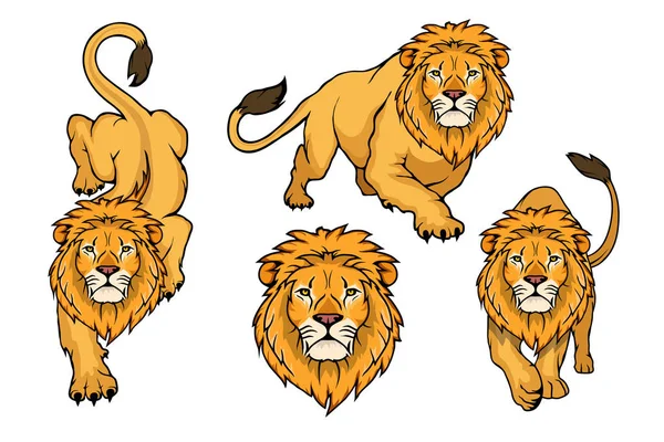 Set Lion Logo Vector Animal Lion King Lion Isolated White — Stock Vector