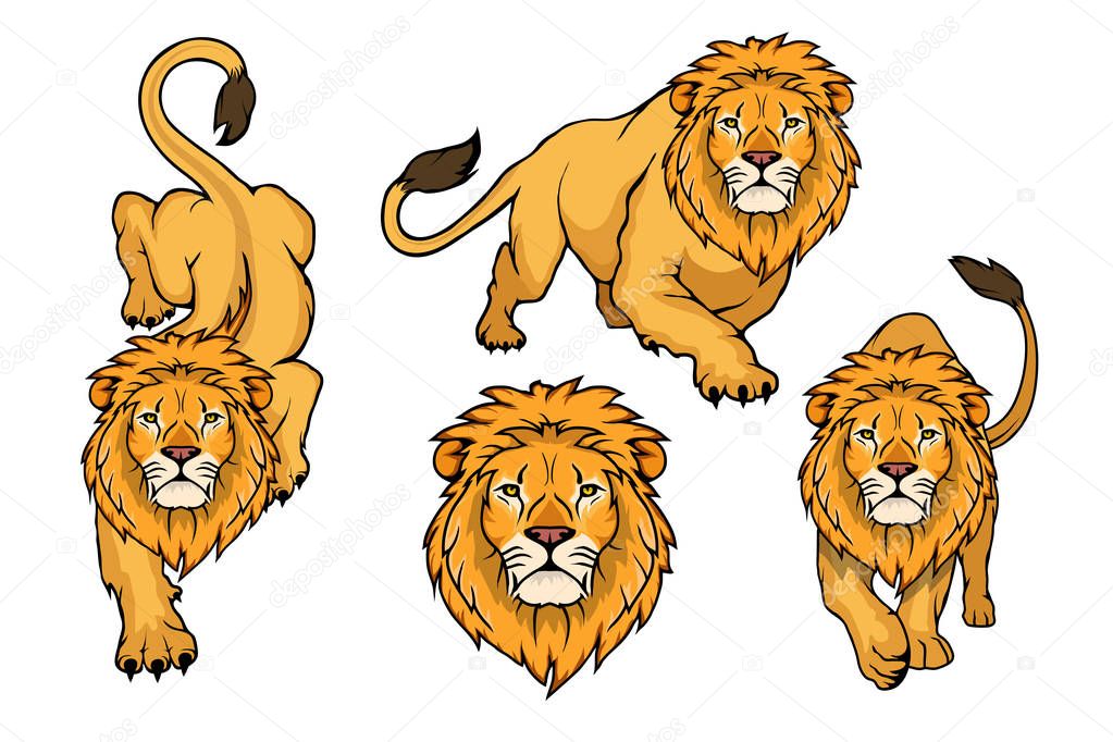 Set of Lion logo.Vector animal lion.King Lion isolated on white background.