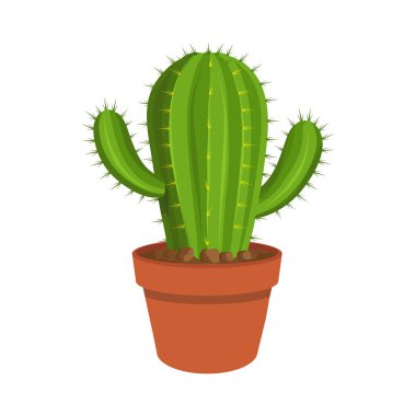 Kaktüs simgesi. Çizgi film cactus bir tencerede. Dikenli bir bitki. Vektör grafik tasarım