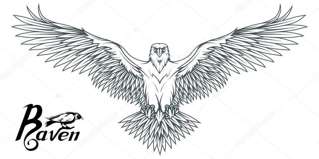 Hand drawn of the raven. Wild birds drawing. Raven logo. Vector graphics to design