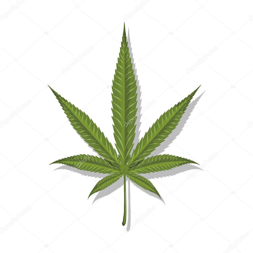 Cannabis leaf. Marijuana. Medical cannabis logo. Legalize symbol. Vector graphics to design