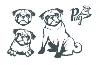 Pug köpek küme. Tasarım için pets. Vektör grafik tasarım
