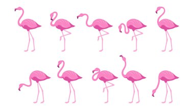 Flamingo Düz. Düz bir tarzda egzotik tropikal kuş. Flamingo seti. Egzotik hayvanlar. Farklı pozlarda sevimli pembe flamingo koleksiyonu. Doğa, vahşi hayvan. Hayvanat bahçesi hayvanı. Tasarlanacak vektör grafikleri