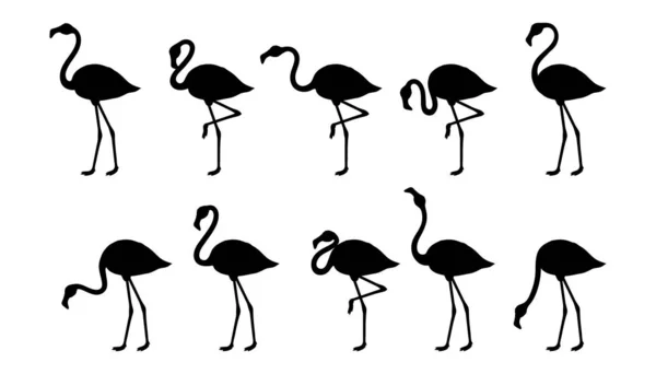 Flamingos Der Silhouette Niedliche Flamingos Kollektion Flamingo Tier Exotisch Natur — Stockvektor
