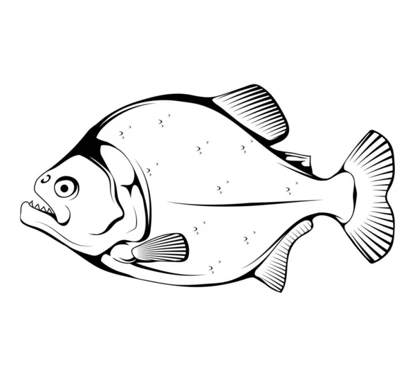 Croquis Piranha Mascotte Poisson Piranha Logo Chasseur Poissons Prédateurs Logo — Image vectorielle