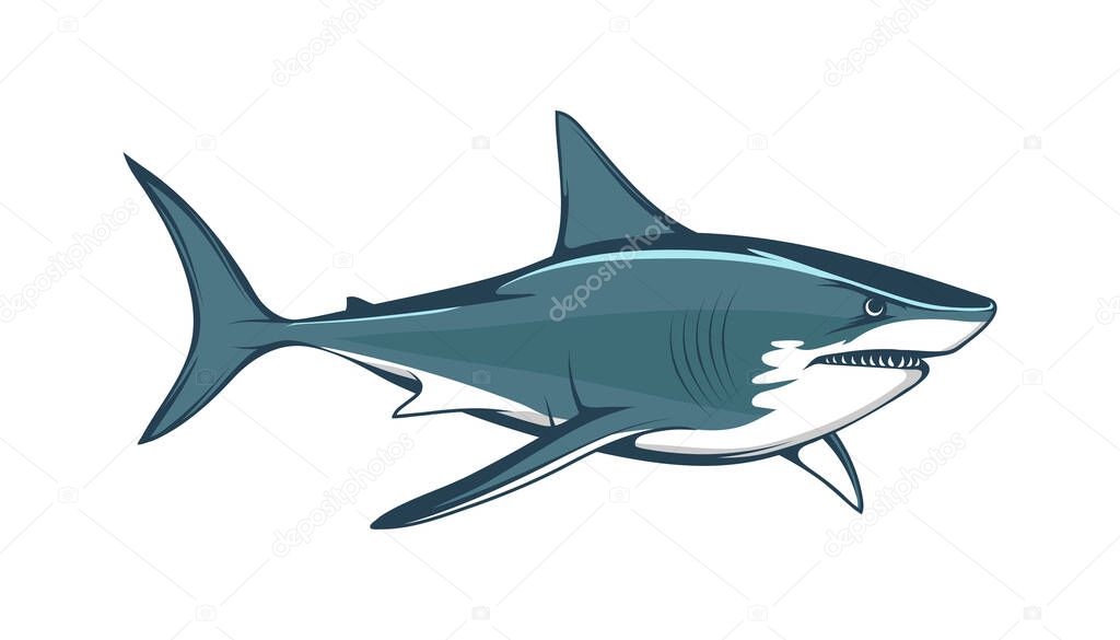 White shark. Saltwater fish. Eater Shark. Carcharodon. Big aggressive shark. Fish a shark a side view sketch. The emblem with shark for a sport team. Angry color shark vector illustration.