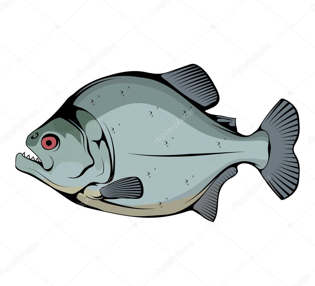 Piranha. Fish piranha mascot logo. Hunter predatory fish. Piranha fish logo. Living in rivers and fresh waters. Powerful jaws. The fish is also known as caribe.