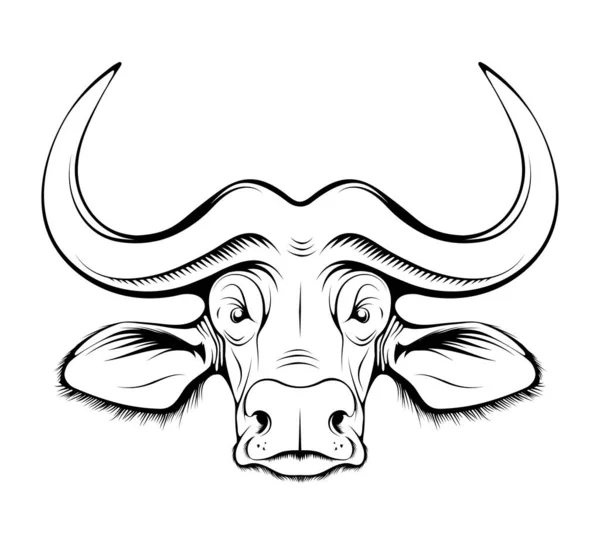 非洲水牛 布法罗角狩猎运动休耕季节 野牛角或沙漠野牛的黑色公牛 有用于狩猎的大角 草图纹身 吉祥物 T恤或狩猎俱乐部标志 — 图库矢量图片