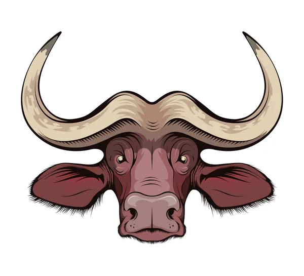 非洲水牛 布法罗角狩猎运动休耕季节 野牛角或沙漠野牛的黑色公牛 有用于狩猎的大角 草图纹身 吉祥物 T恤或狩猎俱乐部标志 — 图库矢量图片