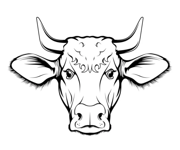 Nötkreatur Gårdsdjur Figur Med Horn Jordbruk Emblem Skiss Tatuering Maskot — Stock vektor