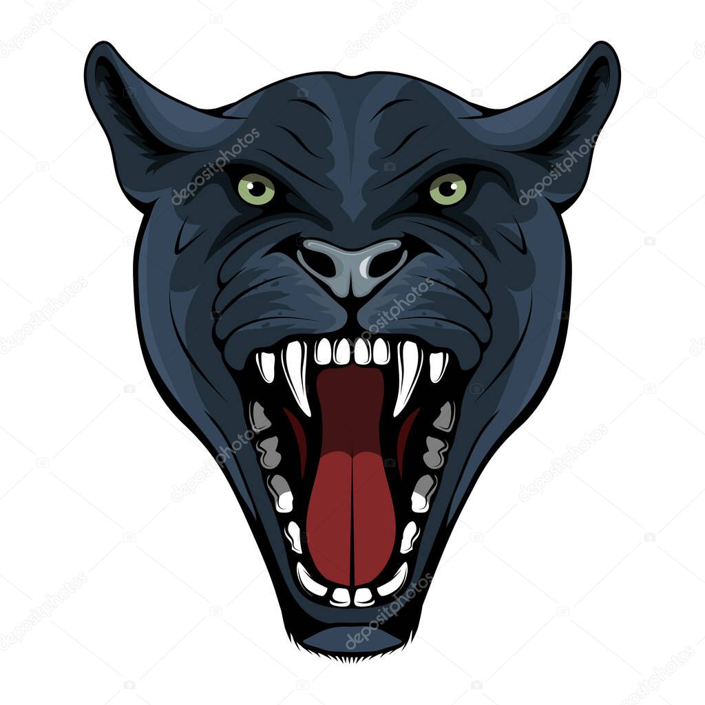Panther, leopard, cougar, jaguar. Panther with angry face expression. Panther head mascot logo. Snow Leopard Mascot Color Logo. Jaguar Tattoo. Angry animal sports mascot. Growling cougar. Wild cats