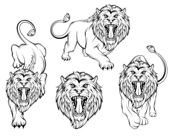 Conjunto Leones Furiosos Rugientes Rey León Está Pie Diferentes Posturas — Vector de stock