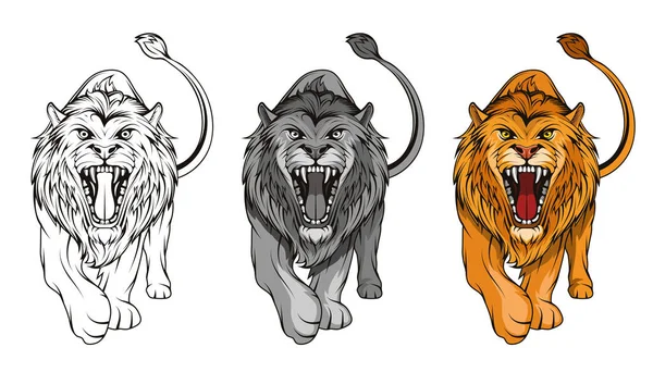 Conjunto Leones Furiosos Rugientes Soportes Rey León Animal Depredador Logotipo — Vector de stock