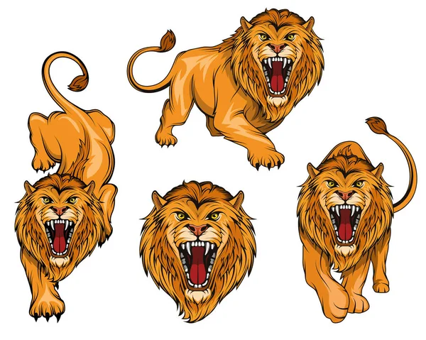 Lion Logo Set Angry Roar Lion Predator Animal Tameless Color — Stock Vector