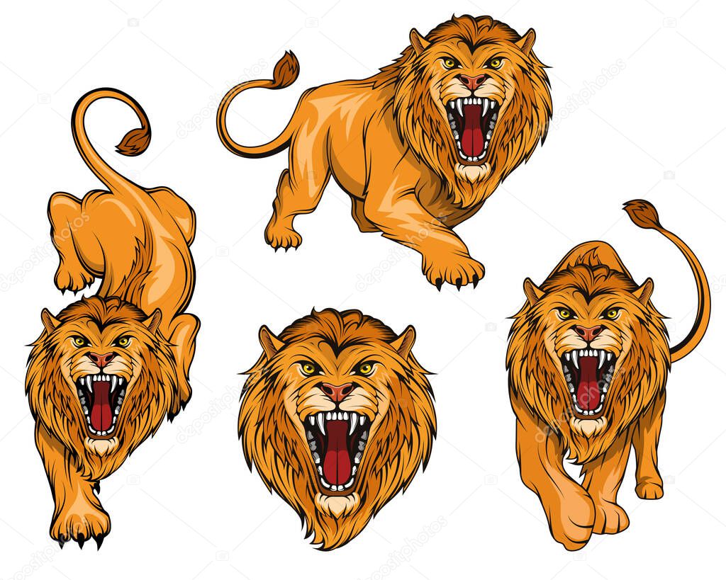 Lion logo set. Angry, roar lion. Predator animal. Tameless color logo. Lion stands in different poses. Animal for sports mascot. Wild big cat. Natural. Logo animal for tattoo or t-shirt print